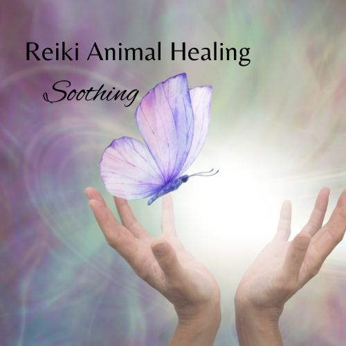 Reiki Animal Healing